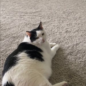 Meet your Posher, Nicole